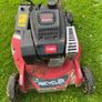 Lawnmower I Image 4