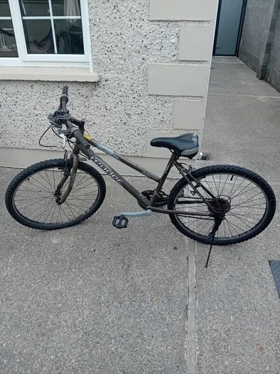 Ladies and gents bicycles