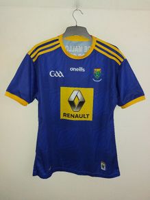 wicklow gaa jersey