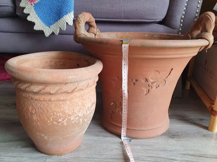 2 terracotta plant pots