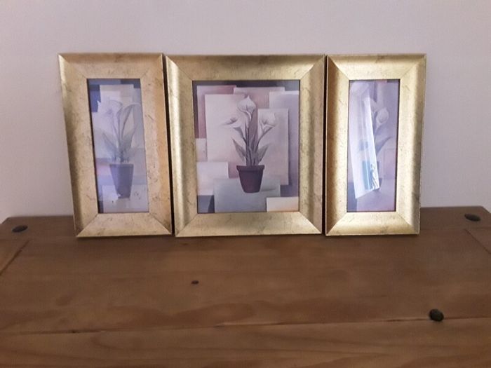 pictures