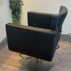 Salon Chair