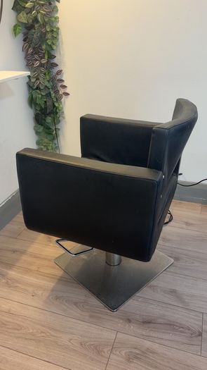 Salon Chair