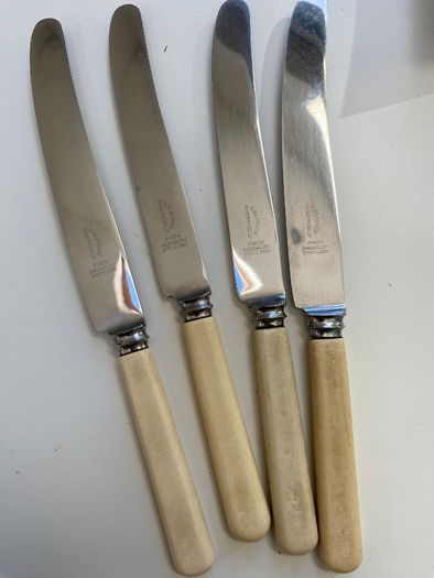 Set of 4 bone handle dinner knives