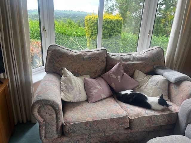 Couches