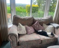 Couches