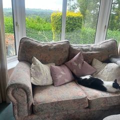Couches