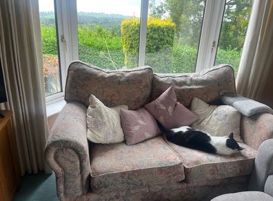 Couches