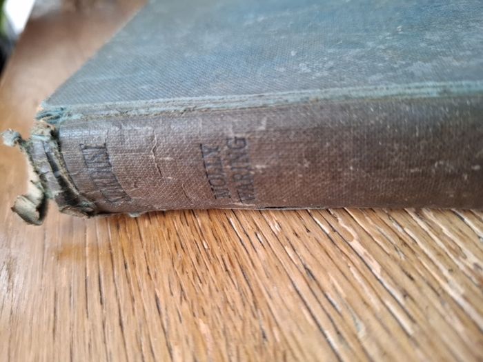 Stardust Vintage Hardbook by Molly Waring