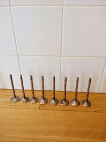 Sierra RS cosworth head valves.