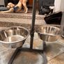 Dog feeding Stayion Image 3