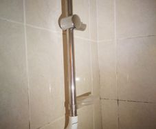 Shower rail