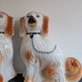 Large Staffordshire fireside spaniels (Dogs) Image 3