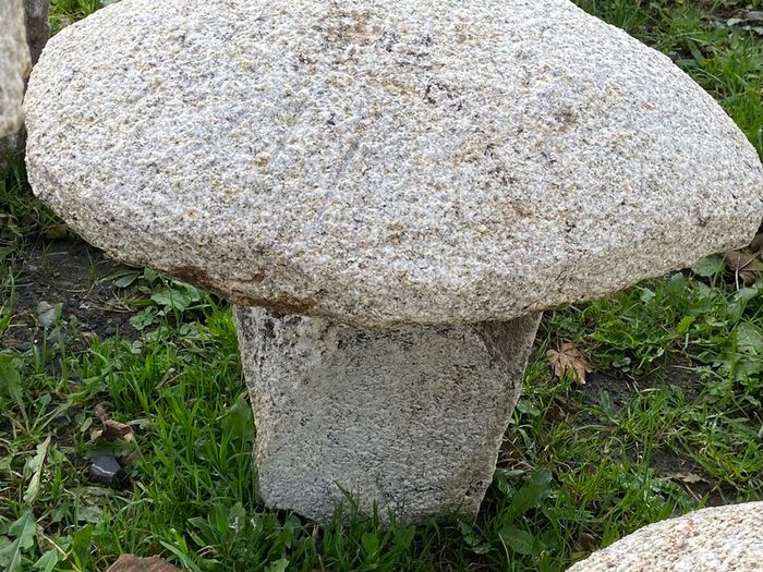 granite mushrooms
