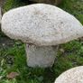 granite mushrooms Image 2