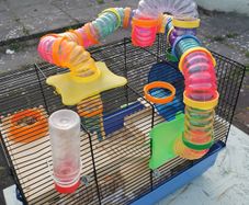 Hamster Cage