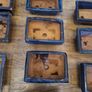 Bonsai pots Image 6