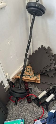 ez curl bar
