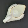 Vintage 1980s Royal Tara Swan Vase, Trinket, Fine Bone China Ireland White Gold Trim Handmade Galway Image 6