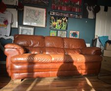 Tan Leather sofa suits