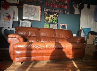 Tan Leather sofa suits