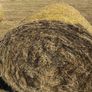 High quality hay and haylage for sale Image 2