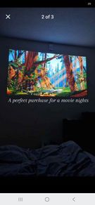 Video projector