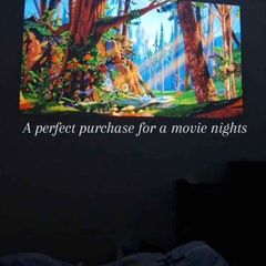 Video projector
