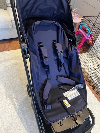 Travel buggy