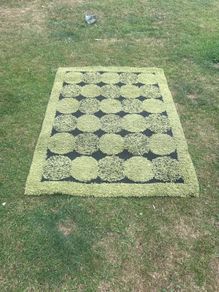 Rug