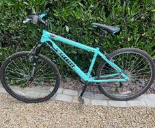 GX26 Team Mountain Bike