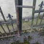 steel gates Image 6