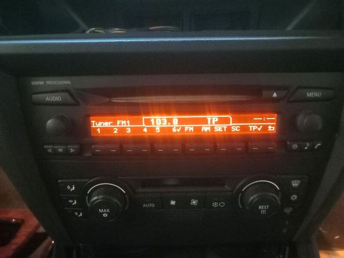 bmw professional radio