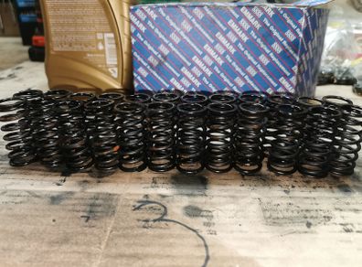 BMW m57 valve springs OEM