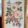 vintage botanical pressed flowers framed art by Joanna Sheen Image 4