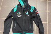 hoodie kids F1 petronas