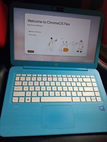 HP Stream 14" Laptop (Chrome OS Flex)