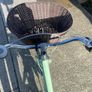 cycle Image 2