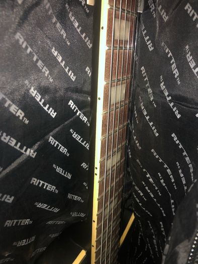 Ritter electric guitar case for Gibson fender Ibanez Jackson PRS charvel epiphone esp