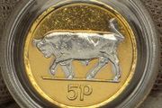 Ireland 1996 5p Five Pence Gold and Silver Plated Coin