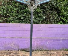 Basket ball ring