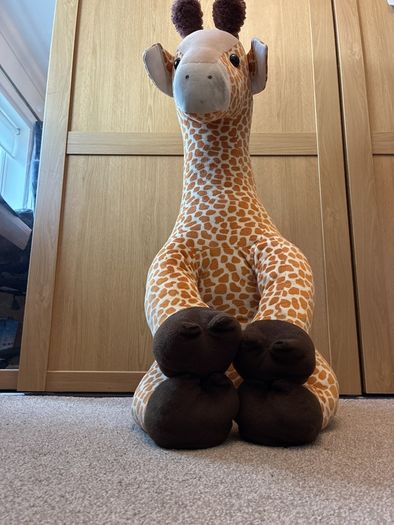 large soft giraffe