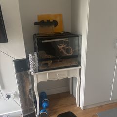 Reptile tank