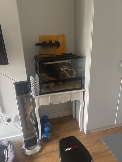 Reptile tank