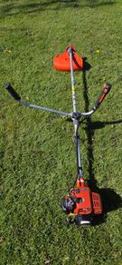 Echo strimmer