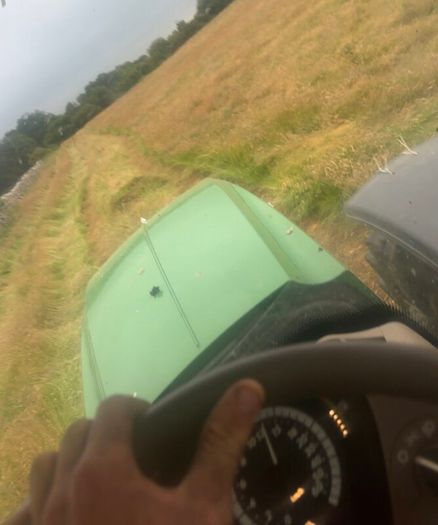 Round bales hay for sale