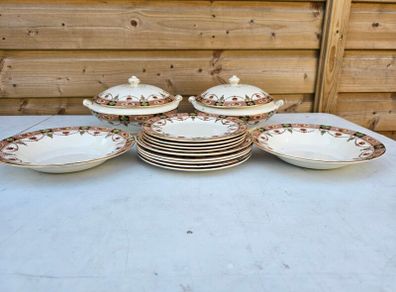 Collection of Arklow Pottery Alton Pattern  812