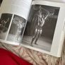 modern bodybuilding Image 3
