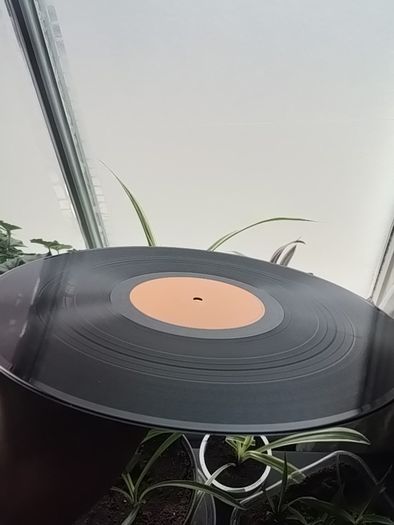 Bit of vinyl+more