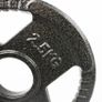Weight plates 2 x 2.5kg and 1.25kg Image 2